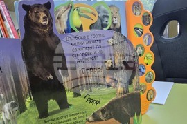 Благоевград  - Регионална библиотека ,,Димитър Талев“ - истории за мечки