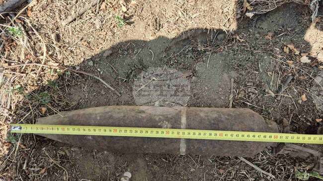 Военнослужещи унищожиха невзривени боеприпаси, открити в Костинброд и Шейново