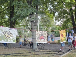 Сливен - парк „Сините камъни“ - концерт