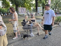 Сливен - парк „Сините камъни“ - концерт