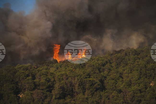 Горски пожар, избухнал снощи близо до складове с взривни вещества в Южна Албания, беше потушен