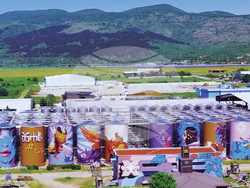 "Търсим специалисти с желание за развитие – компанията осигурява обучение за всички, които искат да растат заедно с нас“, сподели пред БТА Евгени Харамлийски – изпълнителен директор на „Домейн Бойар“