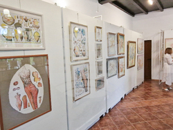 Село Орешак - изложба „Ретроспекция на цивилизацията“