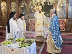 Видин - Преображение Господне - митрополит Пахомий - света литургия