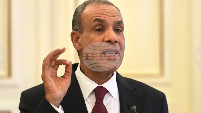 Египет работи заедно с Катар и САЩ за 60-дневно примирие в ивицата Газа, обяви египетският външен министър