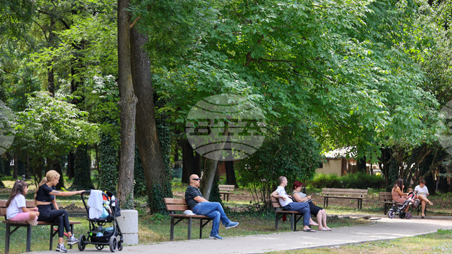 End-July Unemployment at 5.29%, Down by 0.1 pp Y/Y