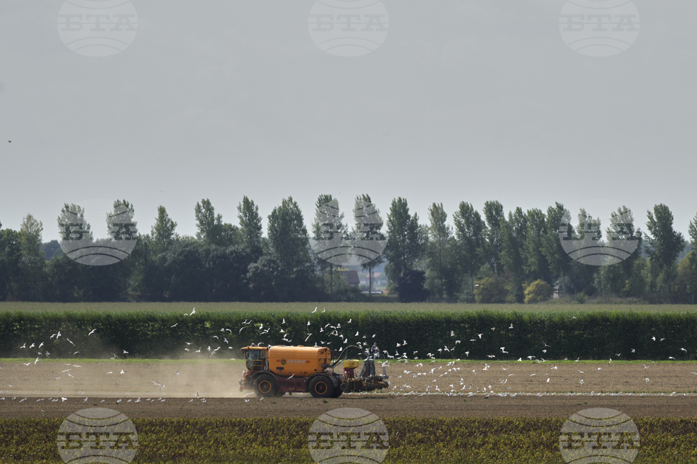 Netherlands Daily Life