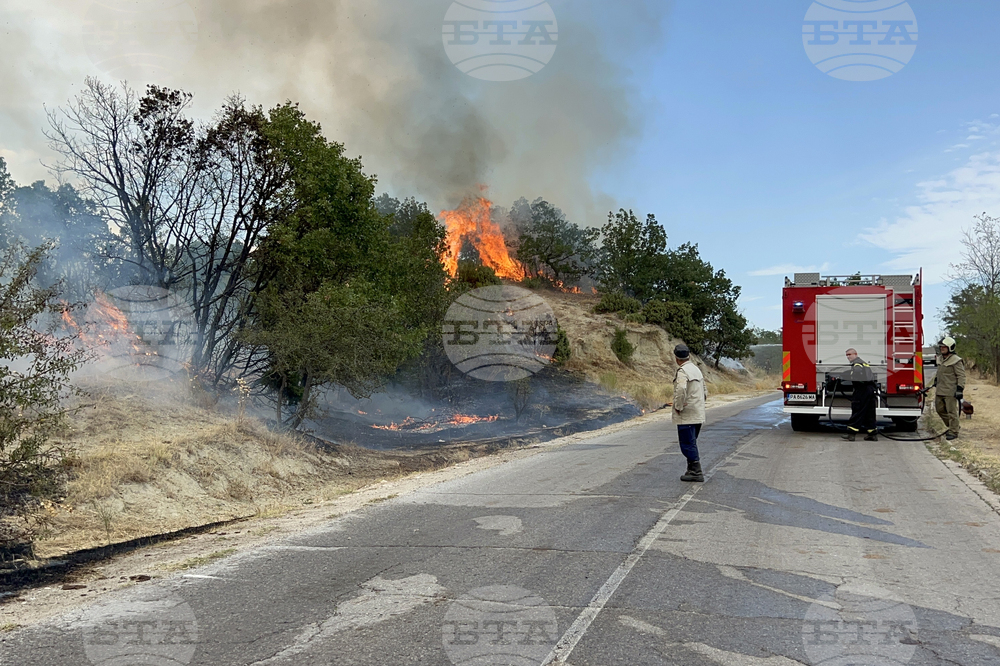 Над 100 пожара са потушени в страната през изминалото денонощие, един човек е пострадал
