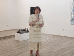 Плевен - школа по математика - посрещане