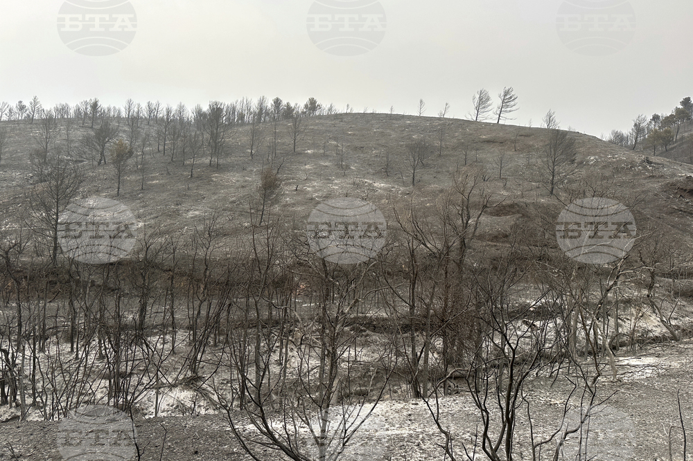 France Fires