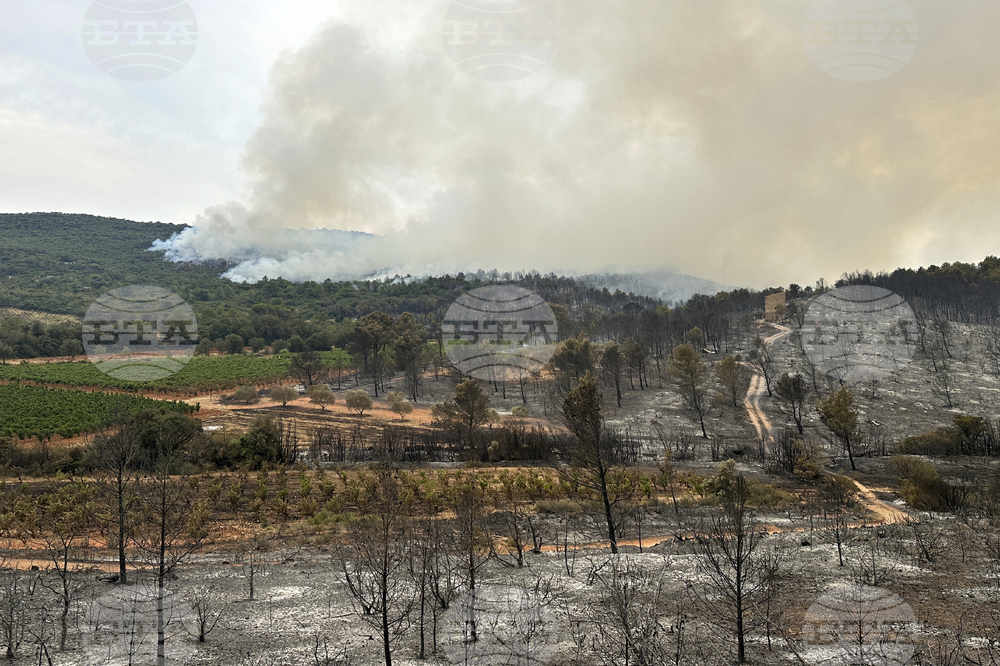 France Fires