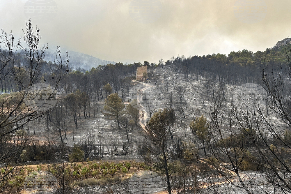 France Fires