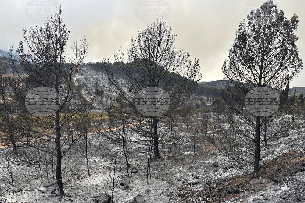 France Fires