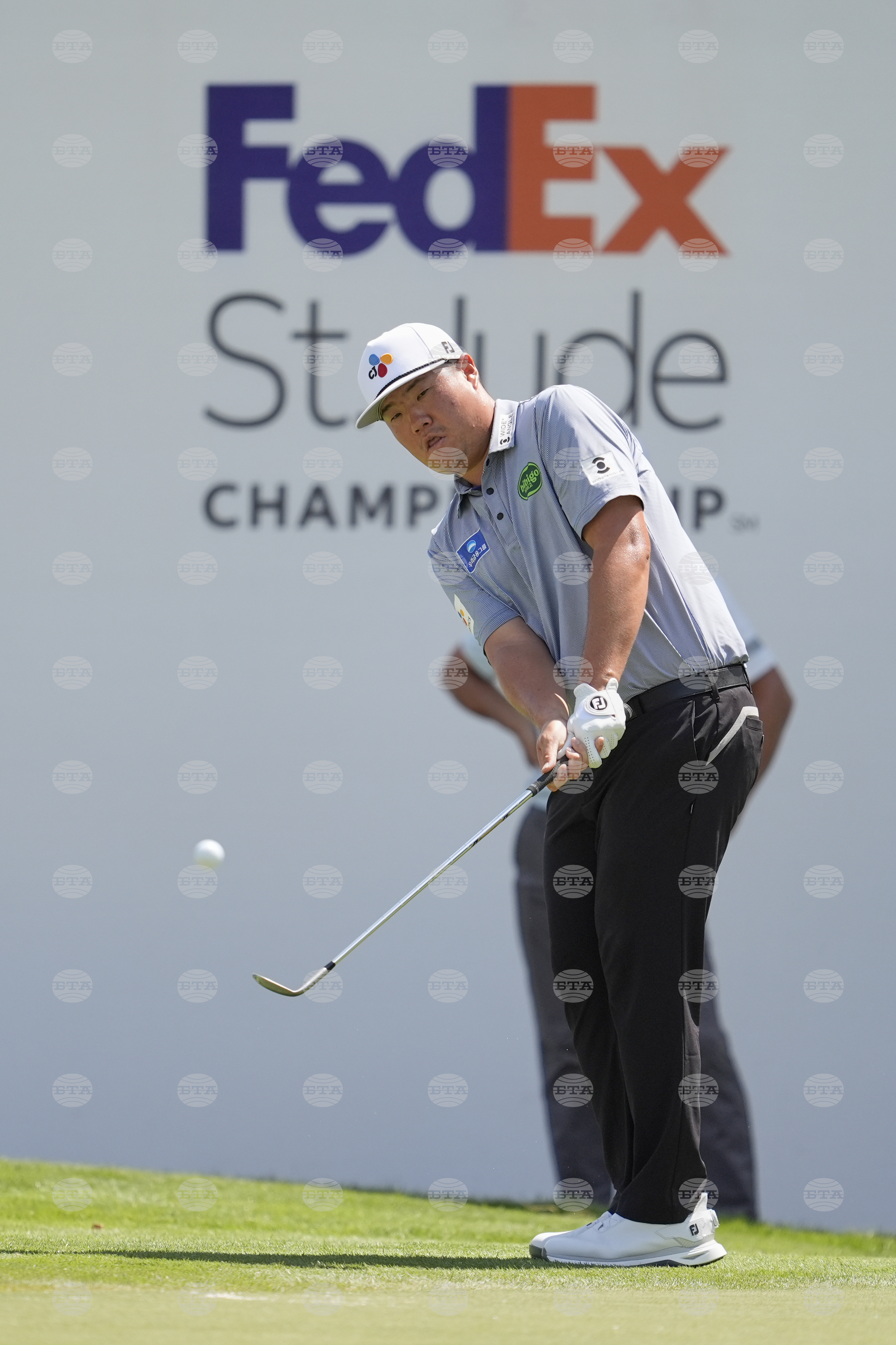 St Jude Championship Golf