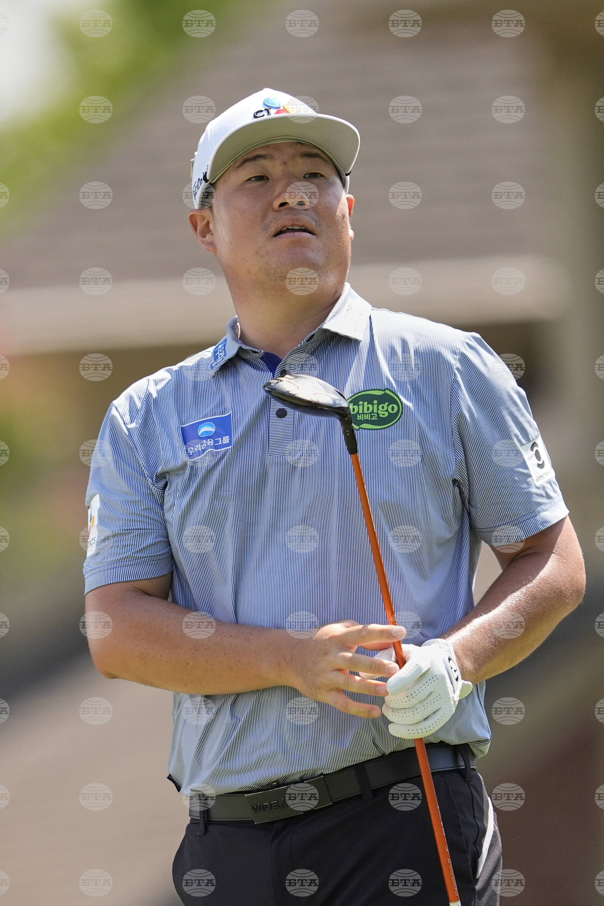 St Jude Championship Golf