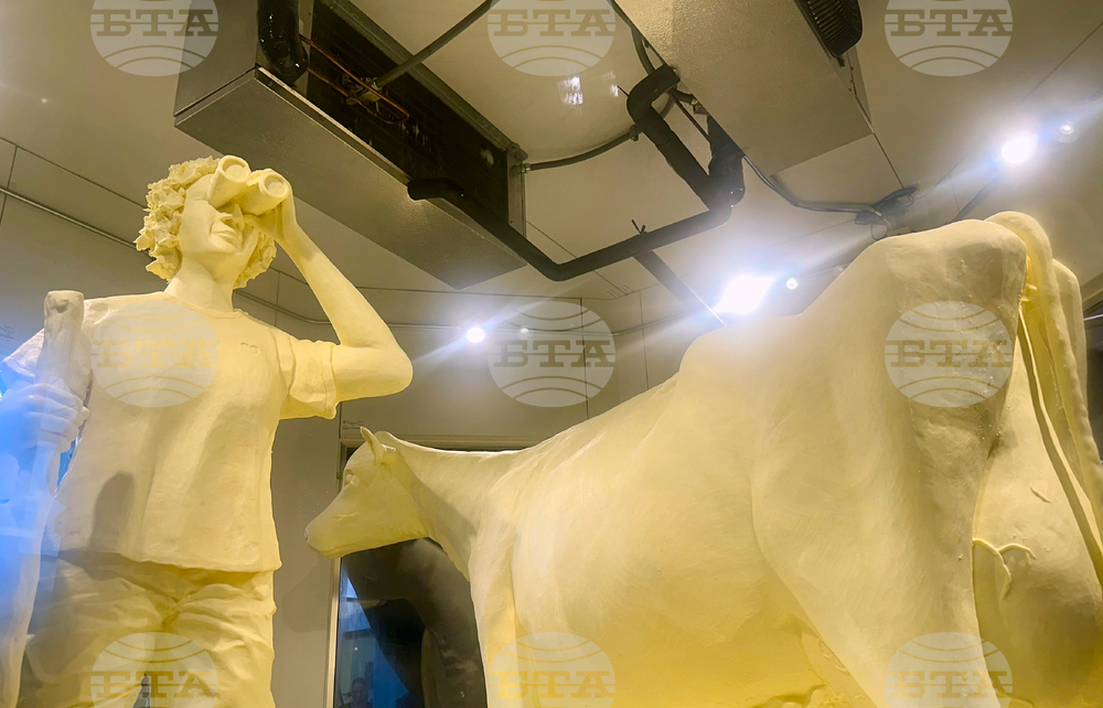 Illinois State Fair Butter Cow