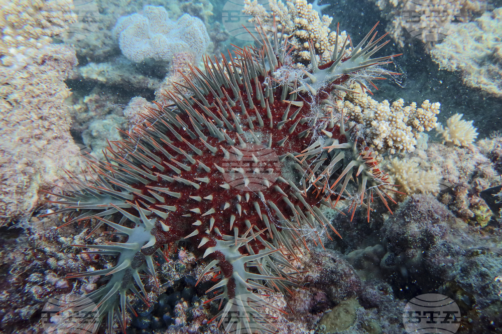 Australia Great Barrier Reef