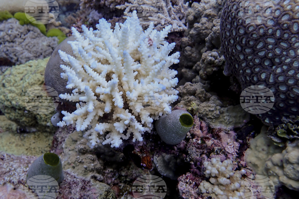 Australia Great Barrier Reef