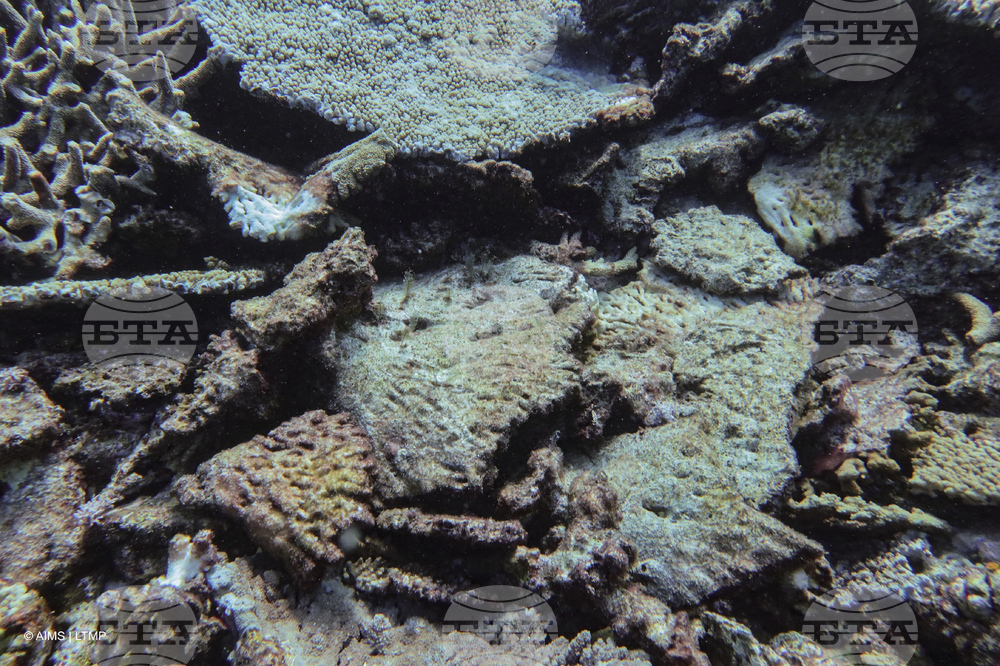 Australia Great Barrier Reef