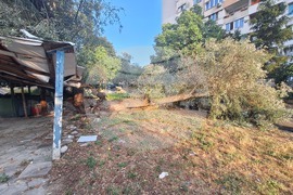 Паднало дърво - задръстване