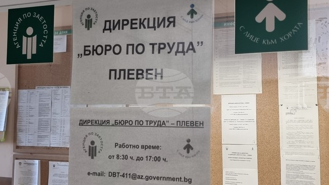 В Бюрото по труда в Плевен са обявени свободни места за медици, инженери и директор на училище