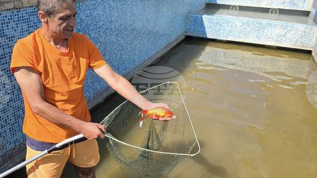 Над 2000 души са посетили крепостта "Ковачевско кале" край Попово за два месеца след откриването на новата постоянна експозиция там