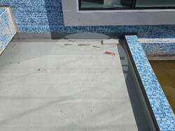 Попово - музей - нови атракции