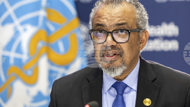 СЗО заяви, че над 460 души са били убити в болница в Ел Фашер в Судан след превземането на града от паравоенните Сили за бърза подкрепа