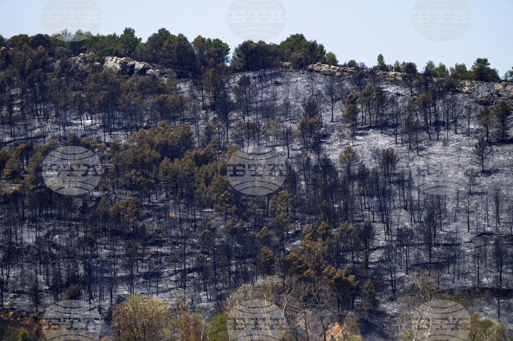 France Fires