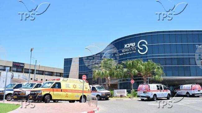 ТПС: Израелски учени създадоха първия по рода си човешки бъбрек в лаборатория