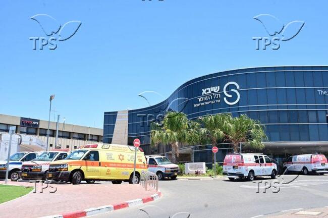 ТПС: Израелски учени създадоха първия по рода си човешки бъбрек в лаборатория