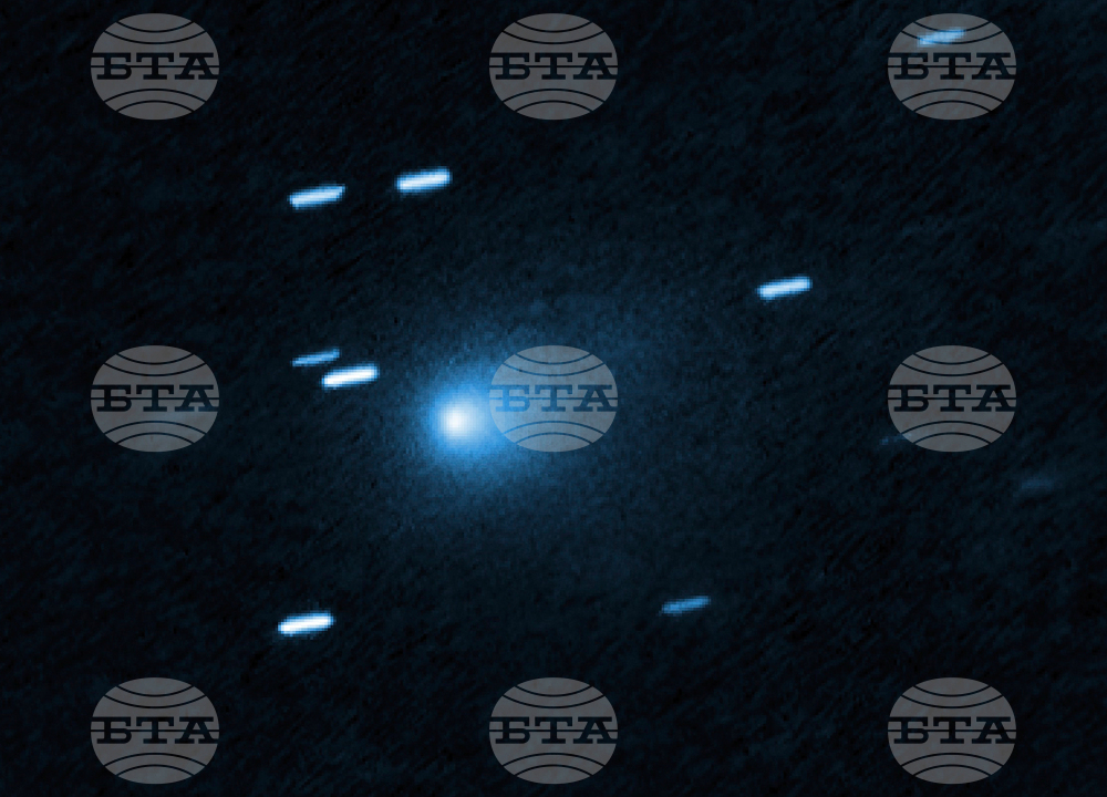 Interstellar Comet