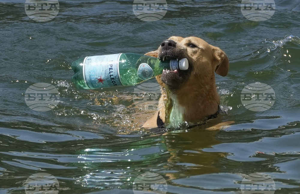 France Plastic Pollution Treaty