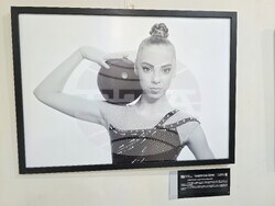 Плевен - изложба - фотографии