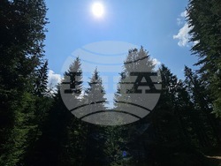 Снимка: Община Чепеларе