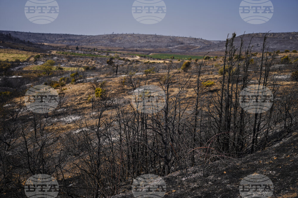 France Fires