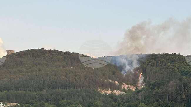 Полицейски екипи ограничават достъпа към паметник "Създатели на българката държава" поради пожар в Природен парк "Шуменско плато"