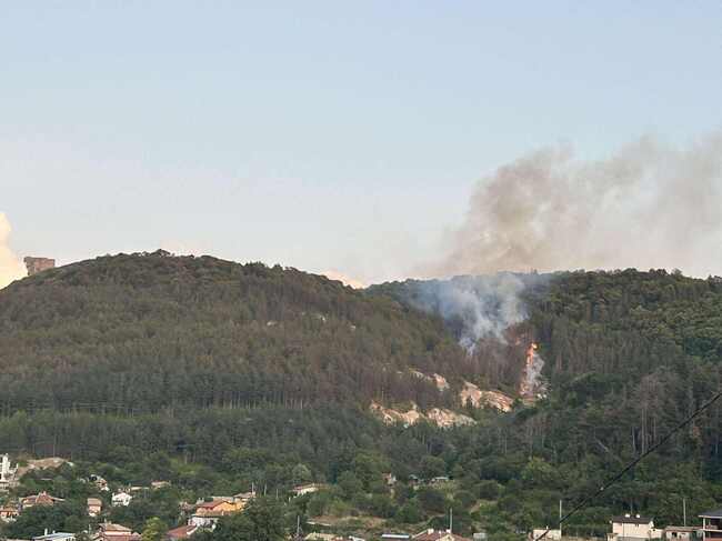 Полицейски екипи ограничават достъпа към паметник "Създатели на българката държава" поради пожар в Природен парк "Шуменско плато"