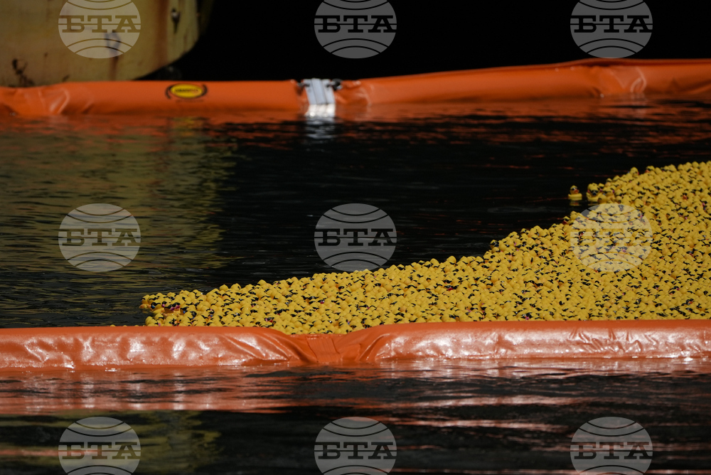 Ducky Derby Chicago