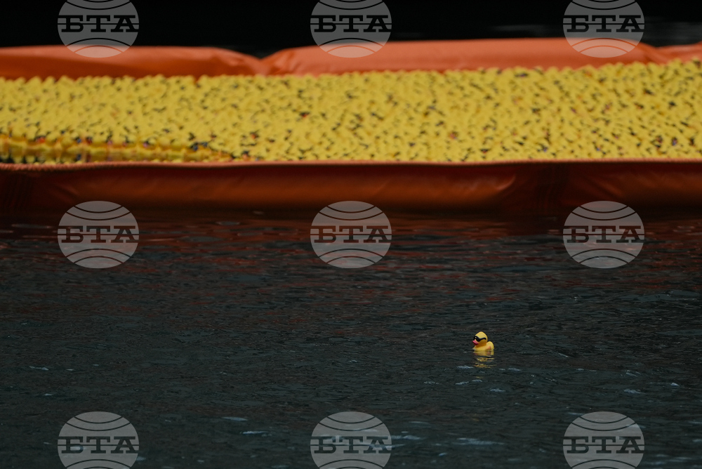 Ducky Derby Chicago