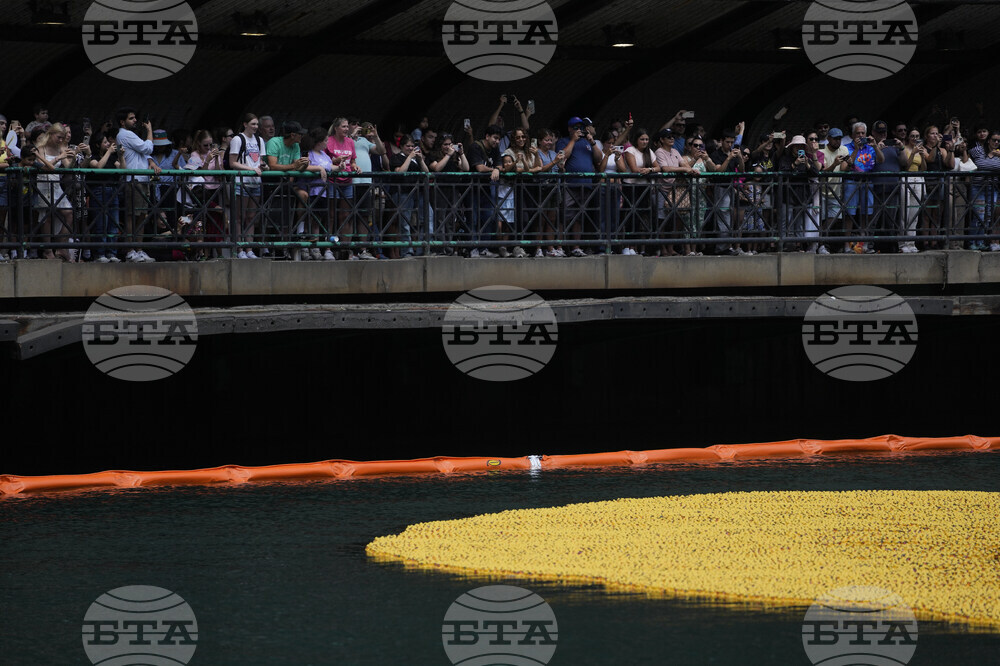 Ducky Derby Chicago