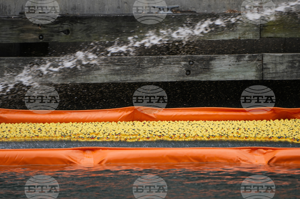 Ducky Derby Chicago