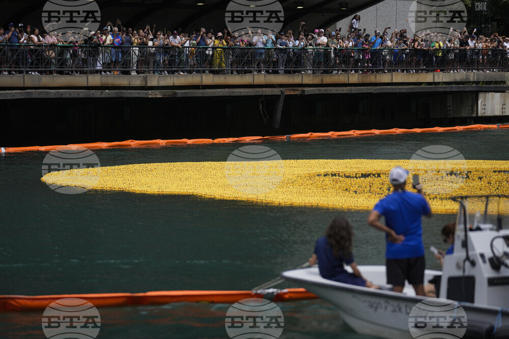 Ducky Derby Chicago