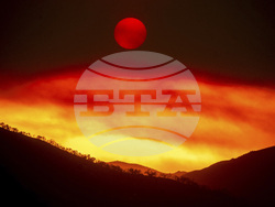 Pictures of the Week Global Photo Gallery