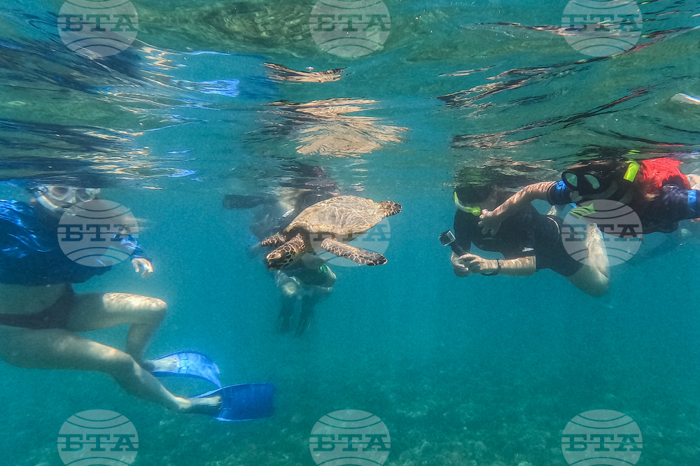 APTOPIX Panama Coiba Island