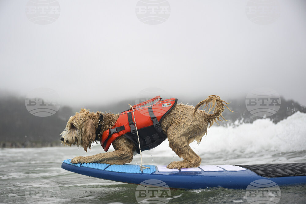 Pictures of the Week Global Photo Gallery