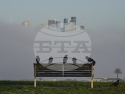 Pictures of the Week Global Photo Gallery