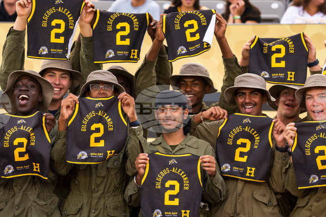 CFL Lions Tiger Cats Football