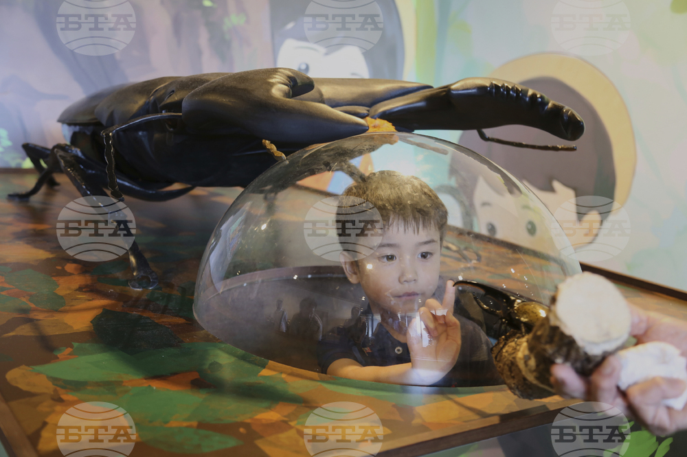 Japan Pet Bugs