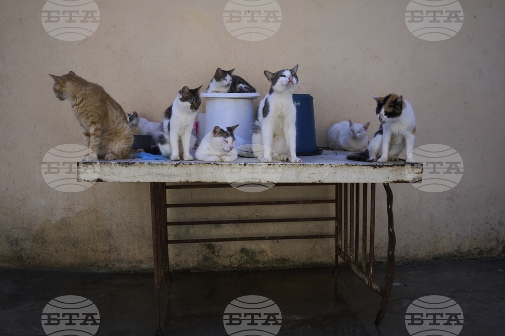 Pictures of the Week Latin America and Caribbean Photo Gallery